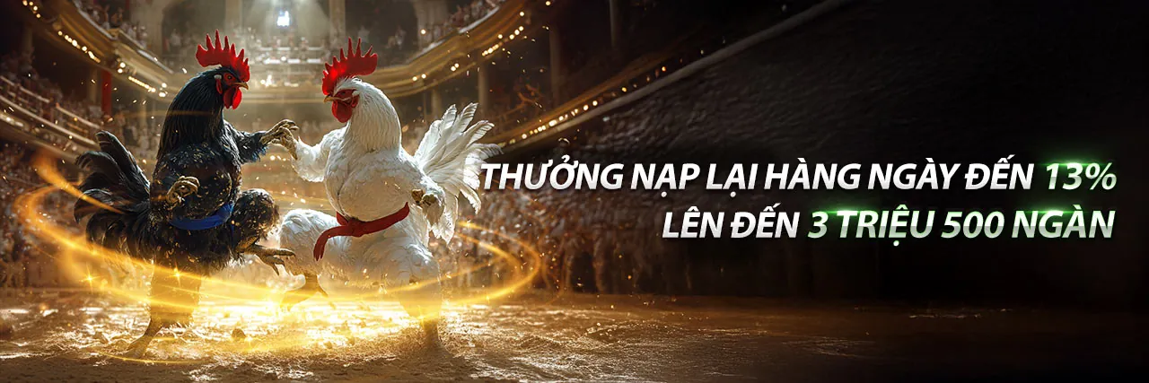 Tổng hợp khuyến mãi độc quyền tại a88 nhà cái 2026