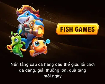 Quan sát quy luật cá